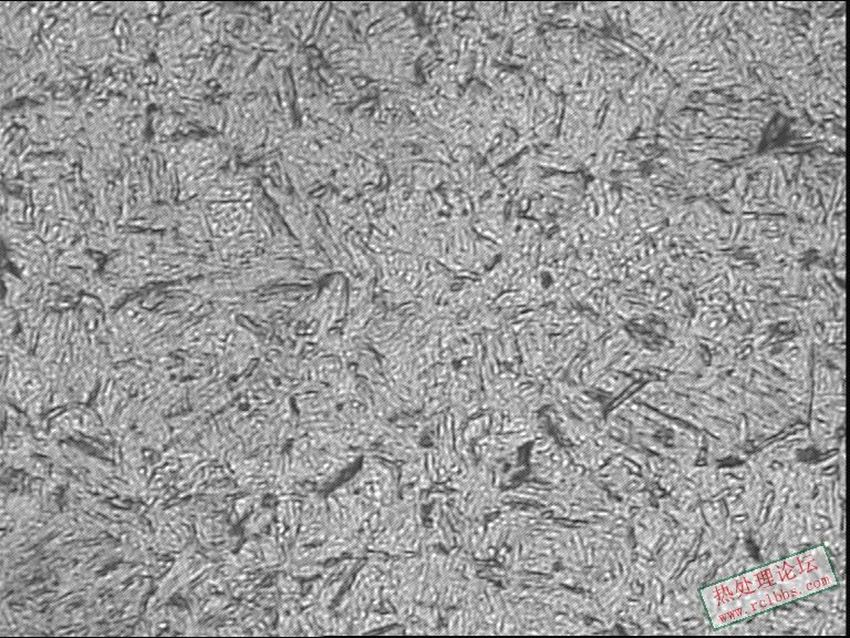毛胚淬硬-小头400-2.JPG