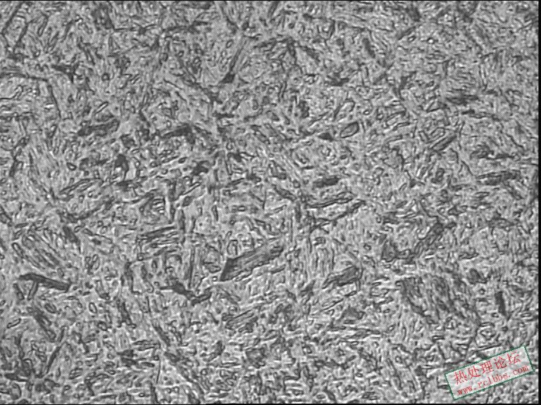 毛胚淬硬-横400-1.JPG
