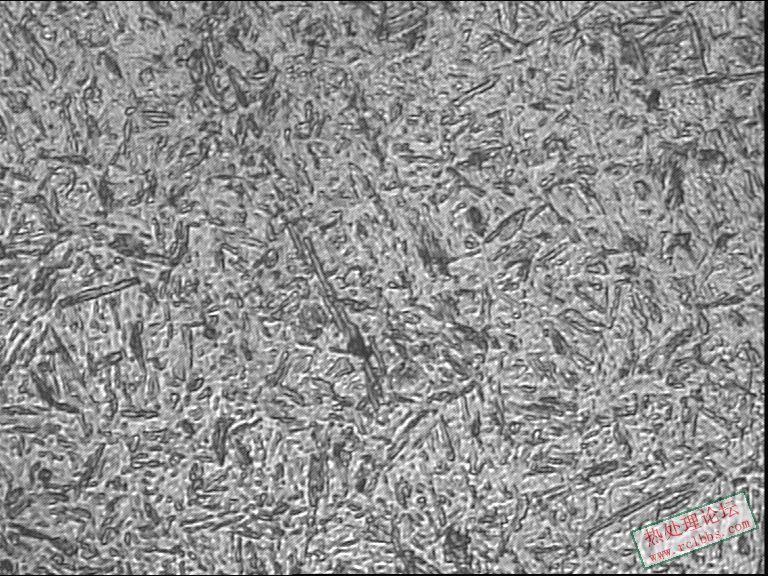 毛胚淬硬-纵400-1.JPG