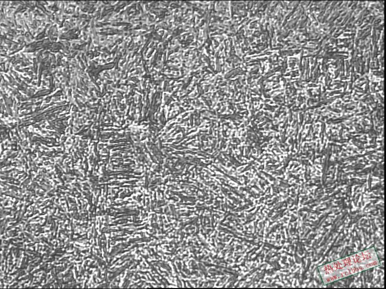 网带850-800淬火心部400-2.JPG