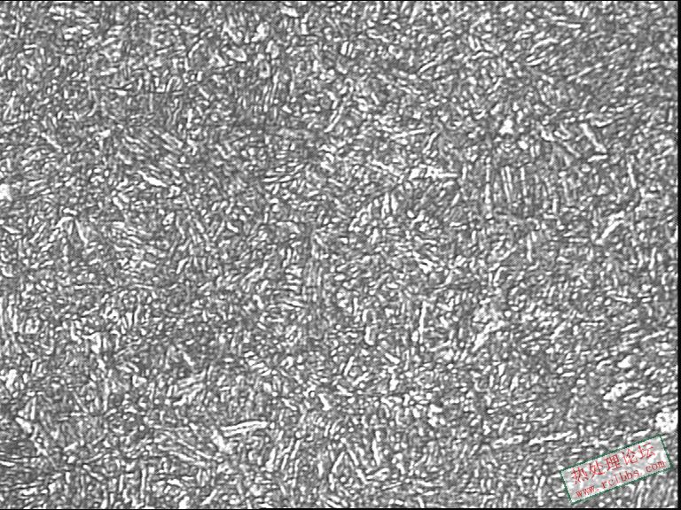 网带850-800回火心部400-1.JPG