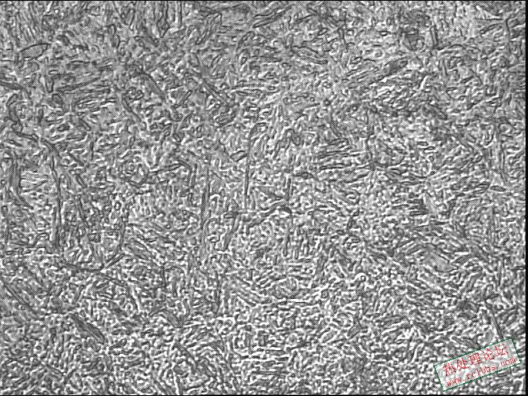 网带850-800淬火心部400-3.JPG