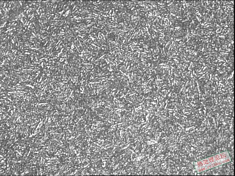 网带850-800回火心部400-3.JPG