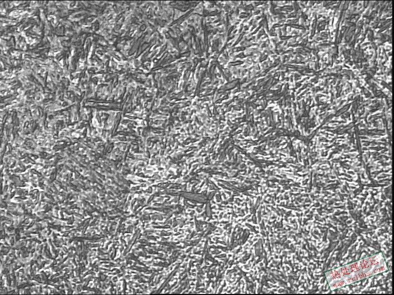 网带850-800淬火心部400-1.JPG