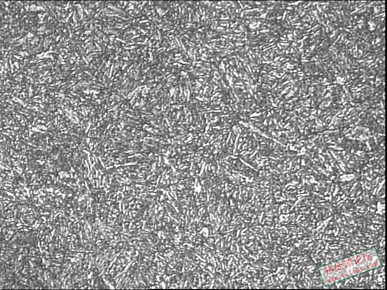 网带850-800回火心部400-2.JPG