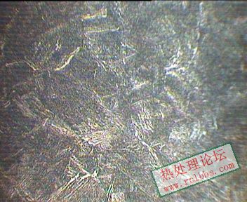 14mm处 600X.JPG
