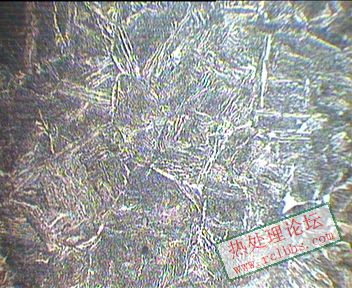 20mm处 600X.JPG