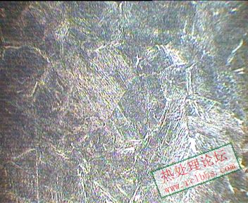 15mm处4 600X.JPG