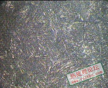 5mm处 600X.JPG