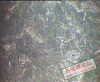10mm处2 600X.JPG