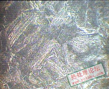 18mm处 600X.JPG