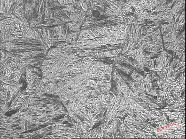 心部400-12.JPG