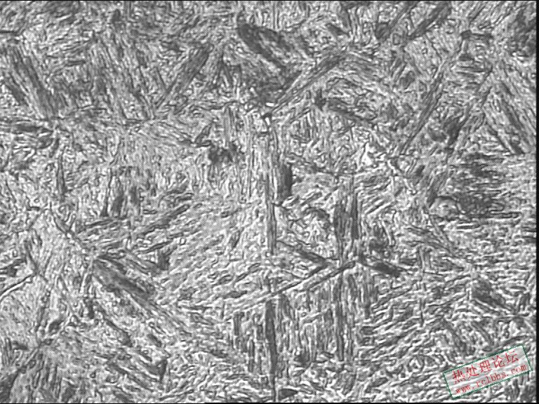 心部400-2.JPG