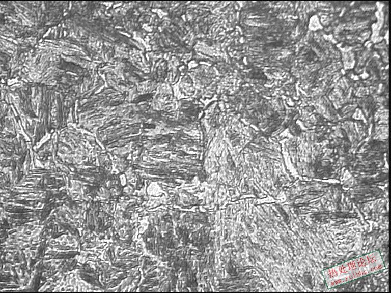 心部400-4.JPG