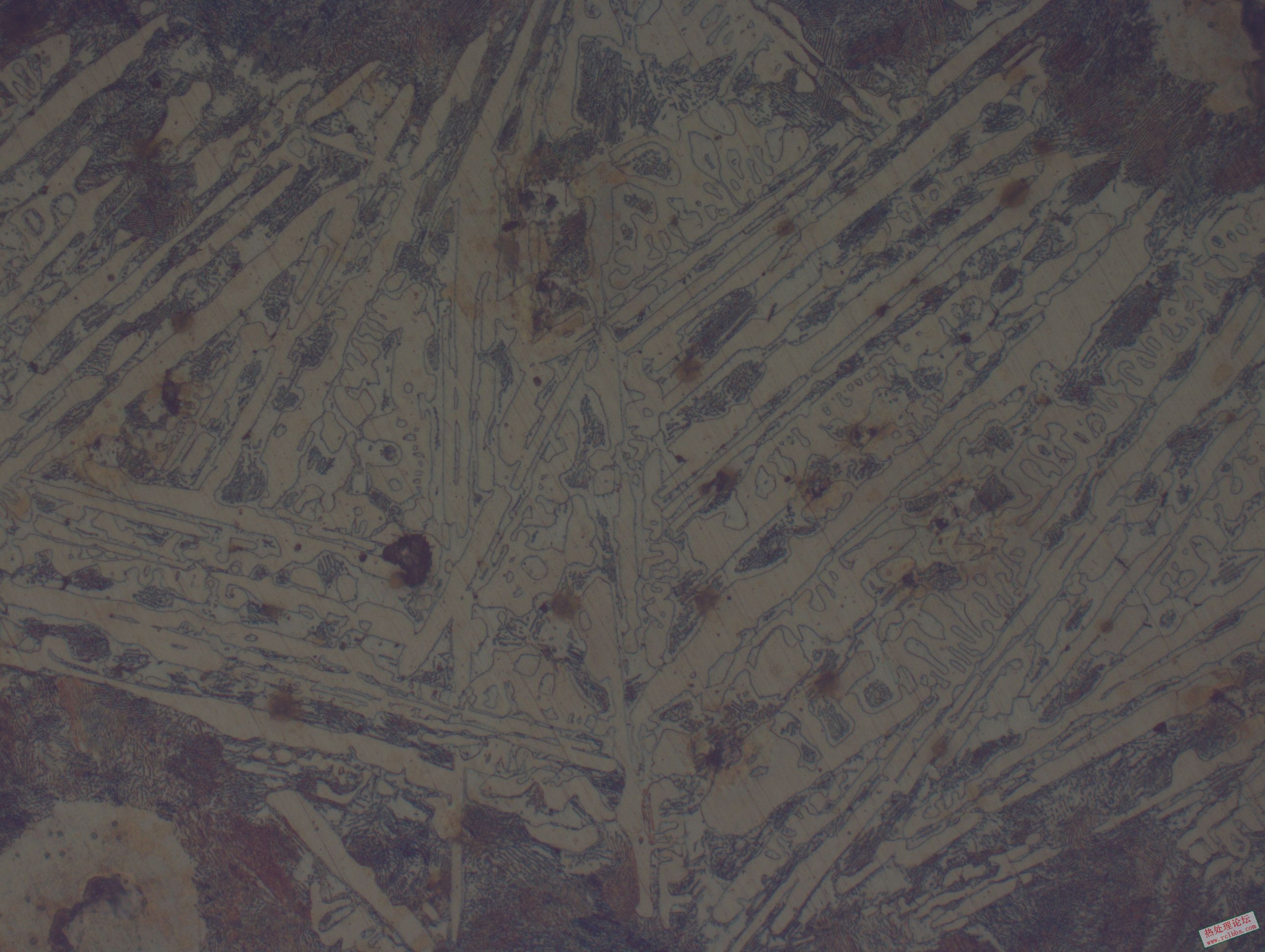 球墨铸铁白口组织1（400X）.JPG