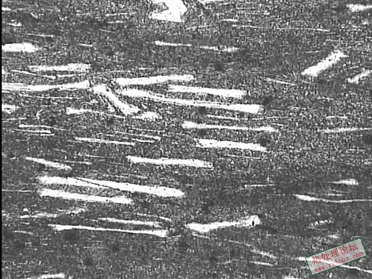 MA-16-250-1.jpg