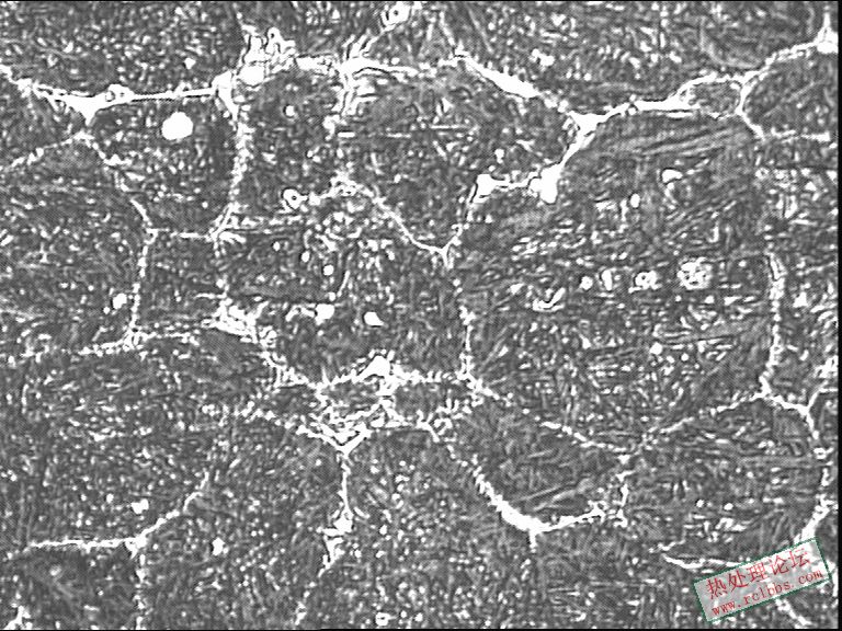 400-4.JPG