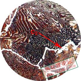 二次渗碳体.jpg