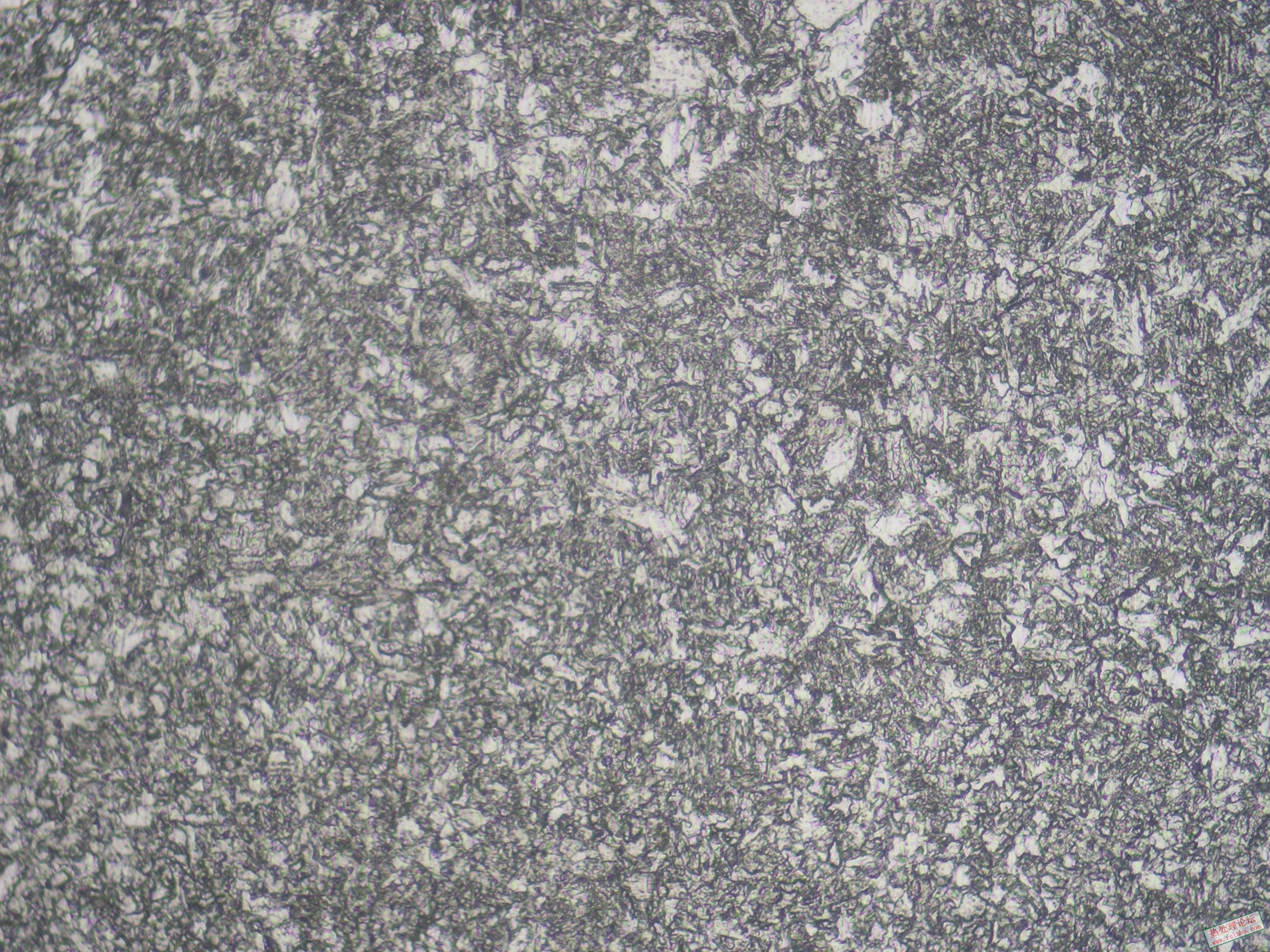 P1010015.JPG