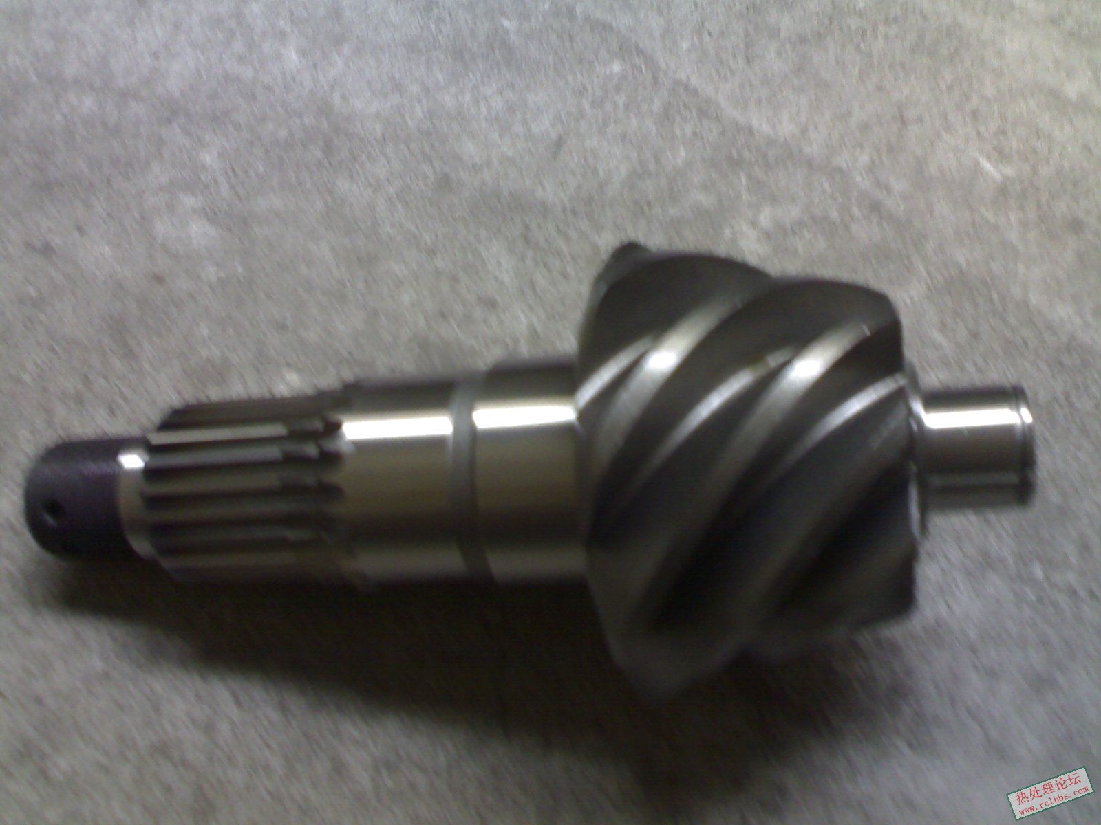 03062008138.jpg