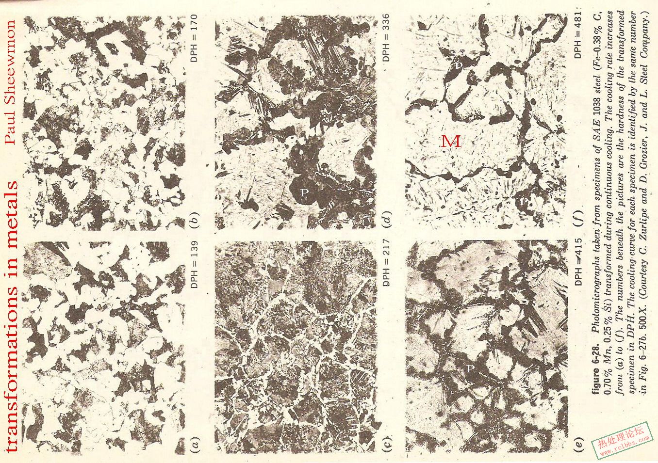 GB P (1).jpg