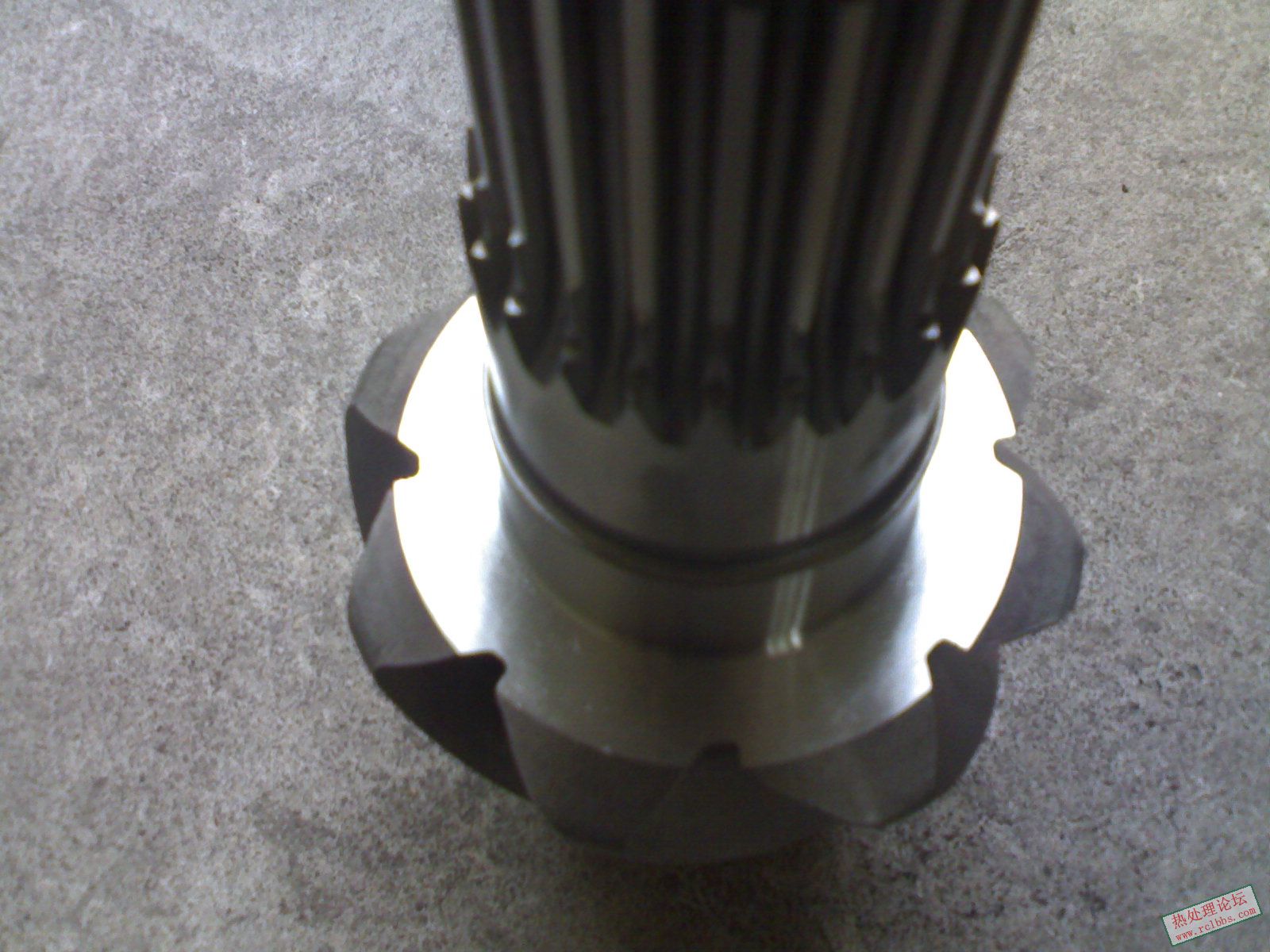 03062008137.jpg