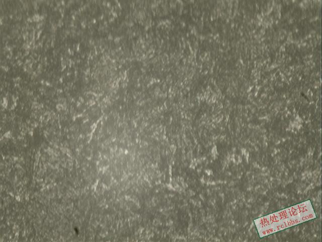 400心部组织.jpg