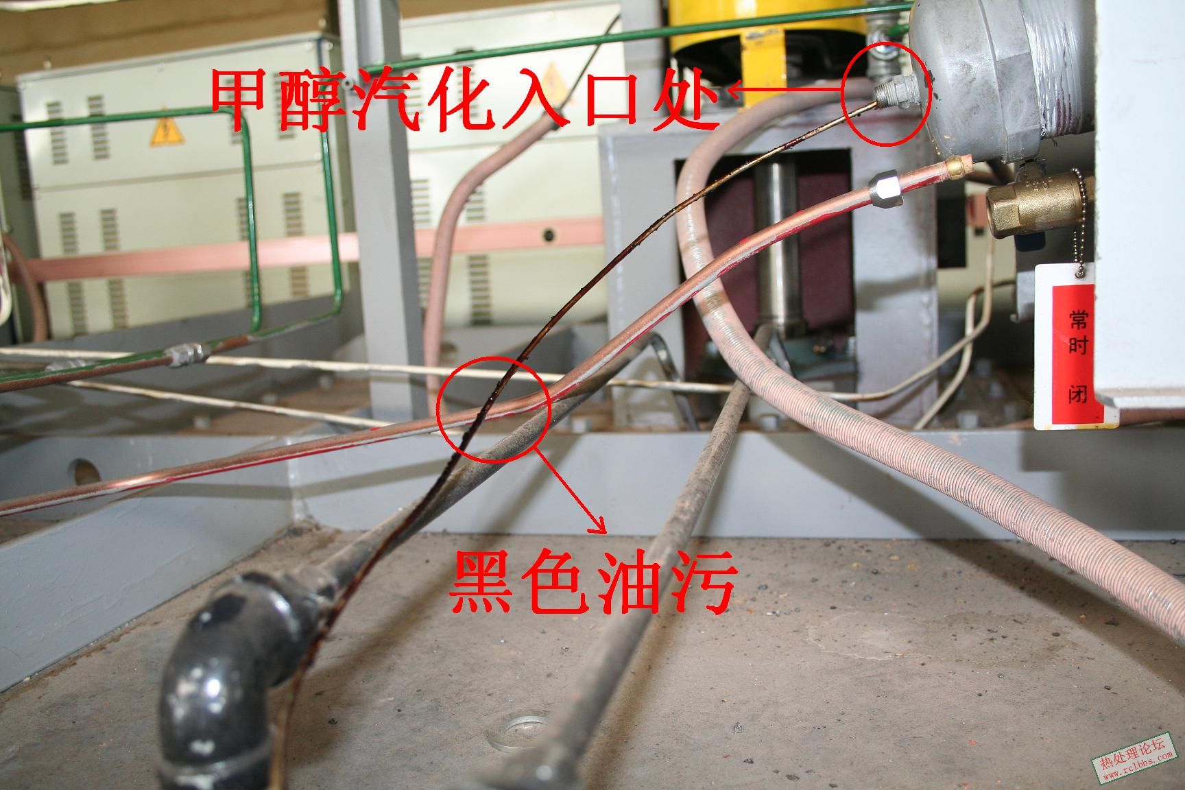 照片01.JPG