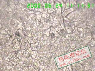 2008-6-23新腾飞组织偏析100X.jpg