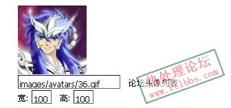 无自定义头像选项