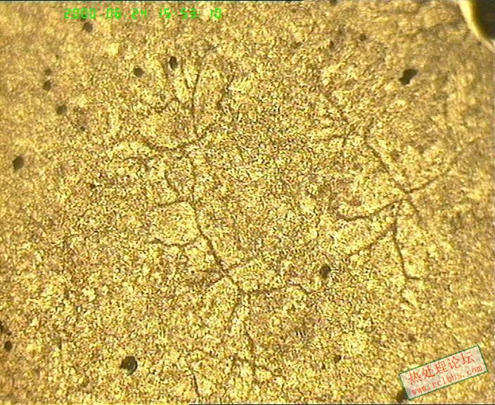 6-24腾飞100组织.jpg