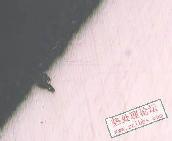 100X-3.jpg