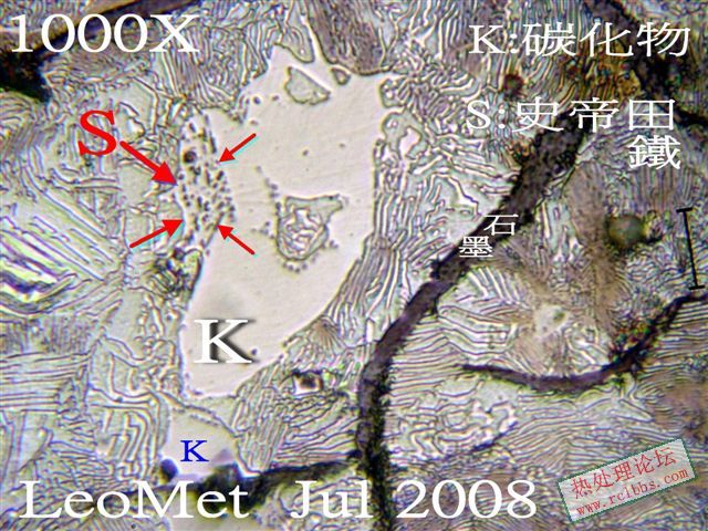 746_E.jpg