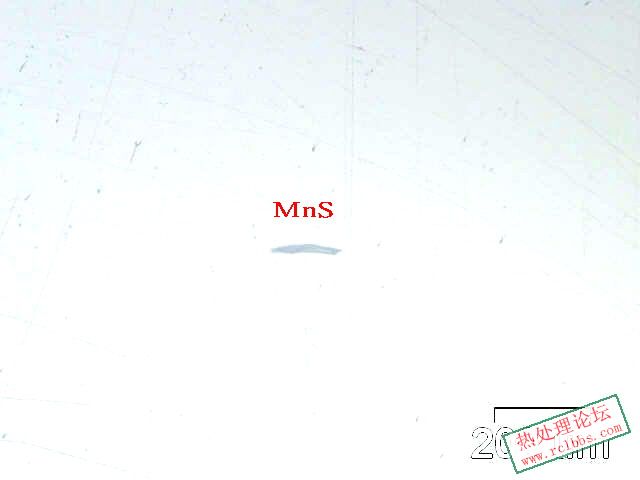 MnS.jpg