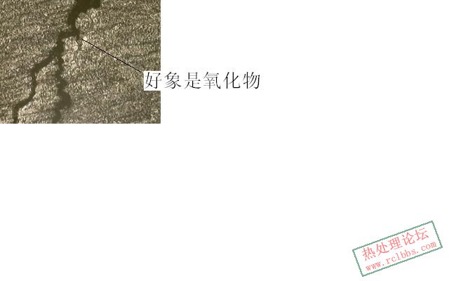未命名1.JPG
