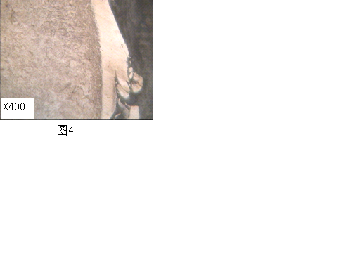 400倍组织