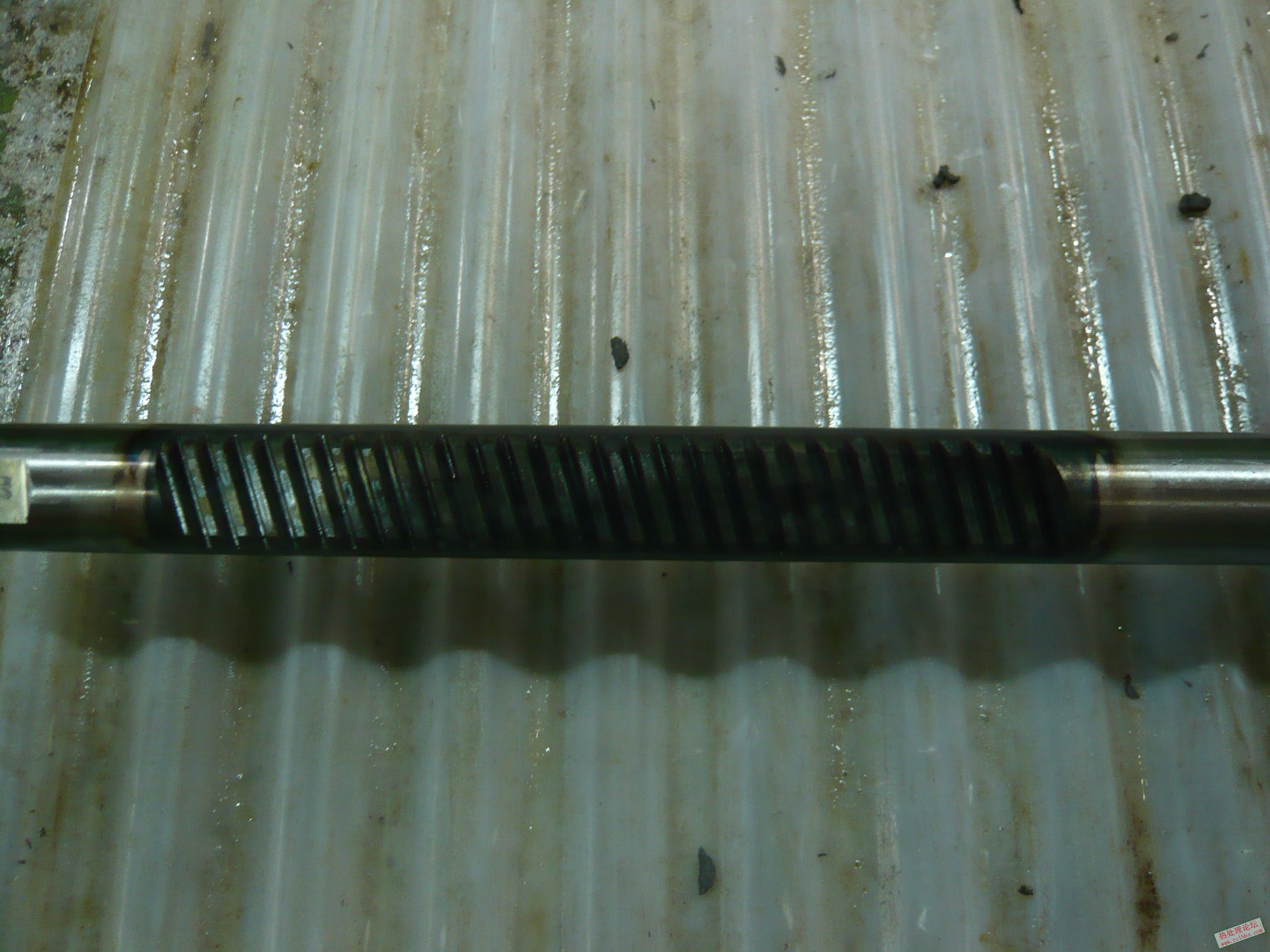 P1000370.JPG