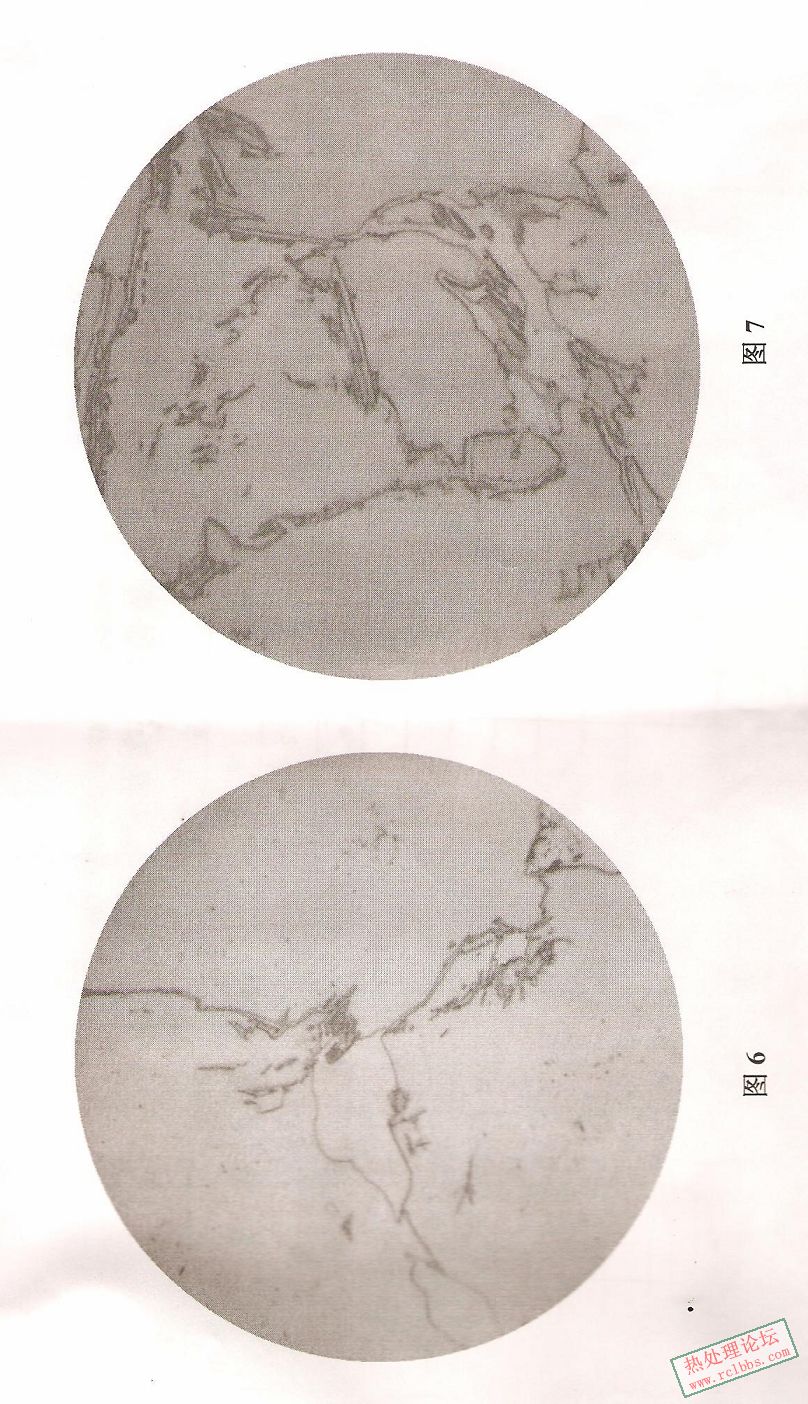 检查4.jpg