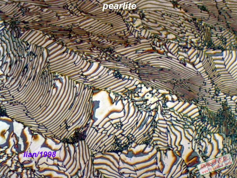 pearlite-4.jpg
