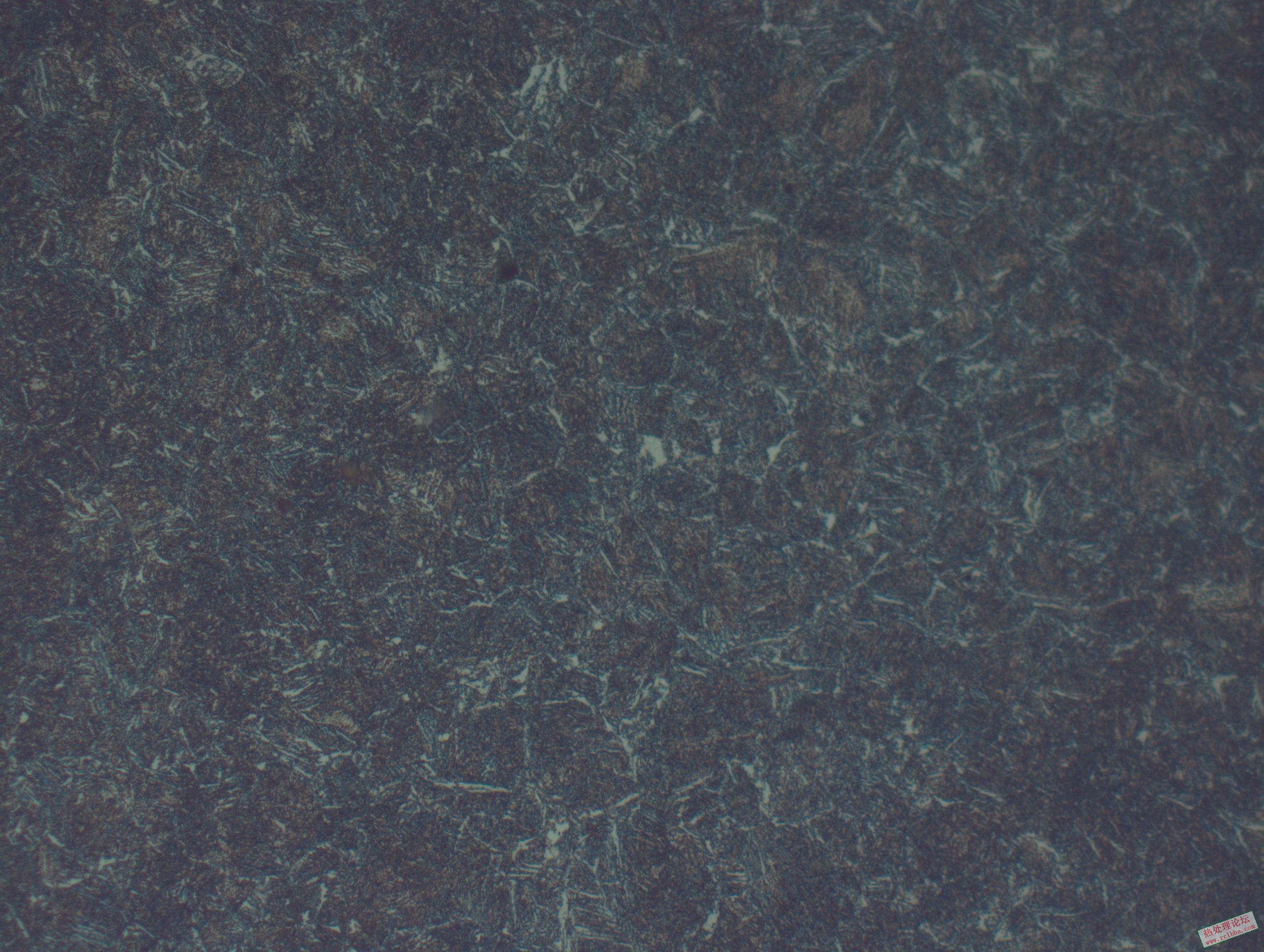 硬度341HB