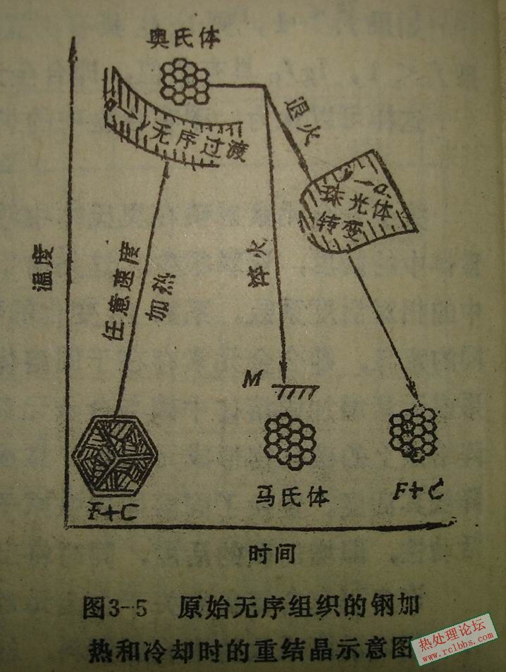 原始无序组织.JPG