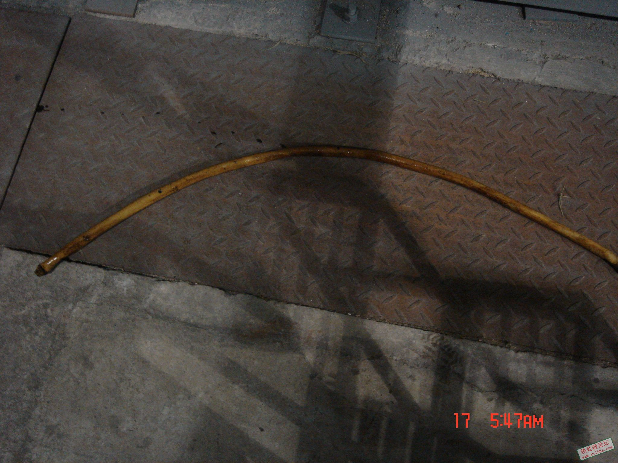 DSC00773.JPG