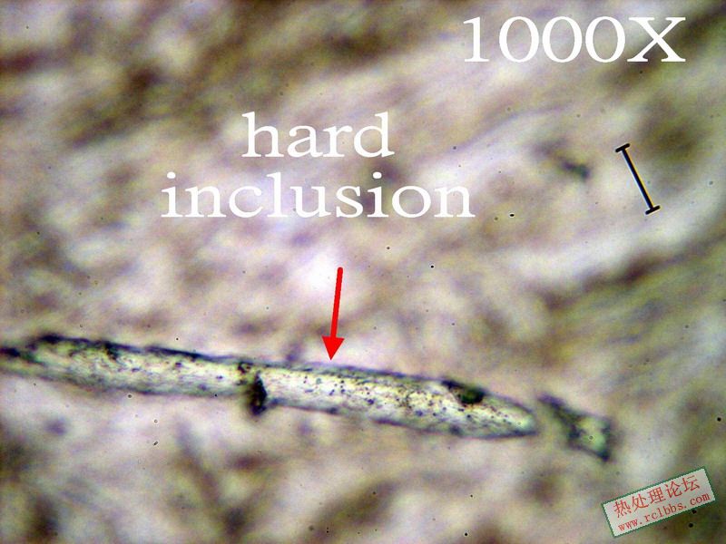 Inclusn E m.jpg
