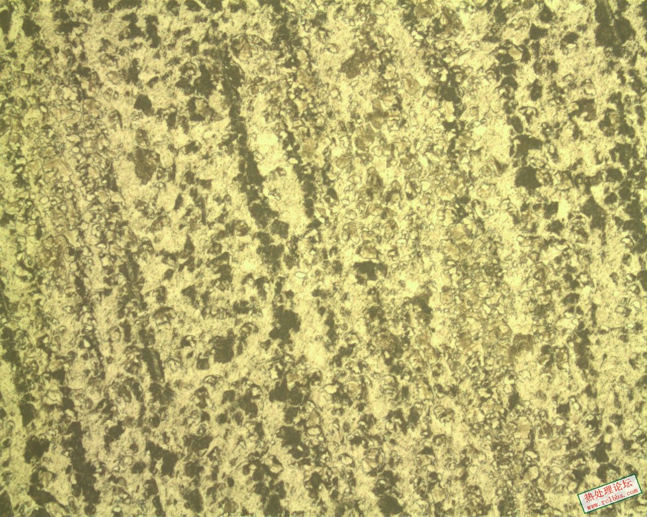 心部Xbainite_200X.jpg