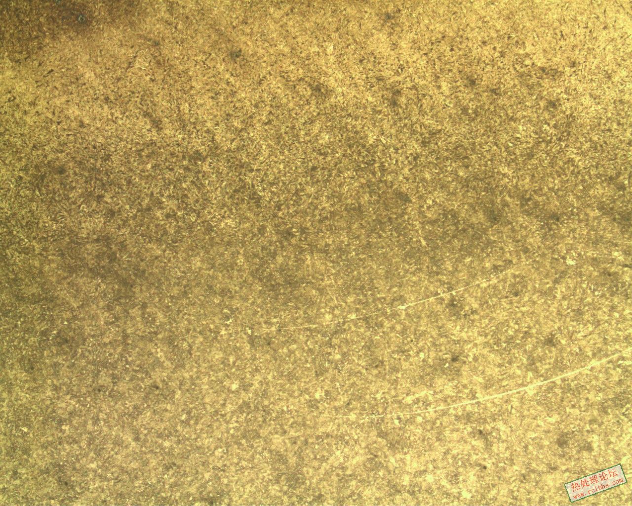 080708A49 100X.jpg
