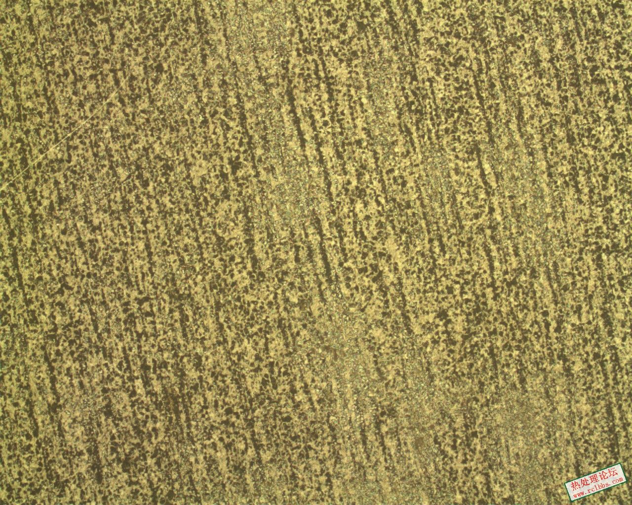 心部+X_BAINITE_50X.jpg