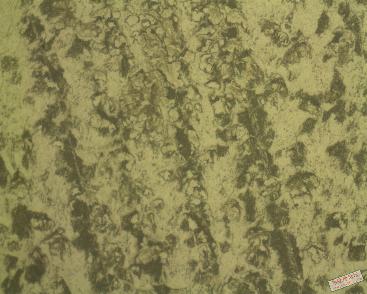 心部X_BAINITE_500X.jpg