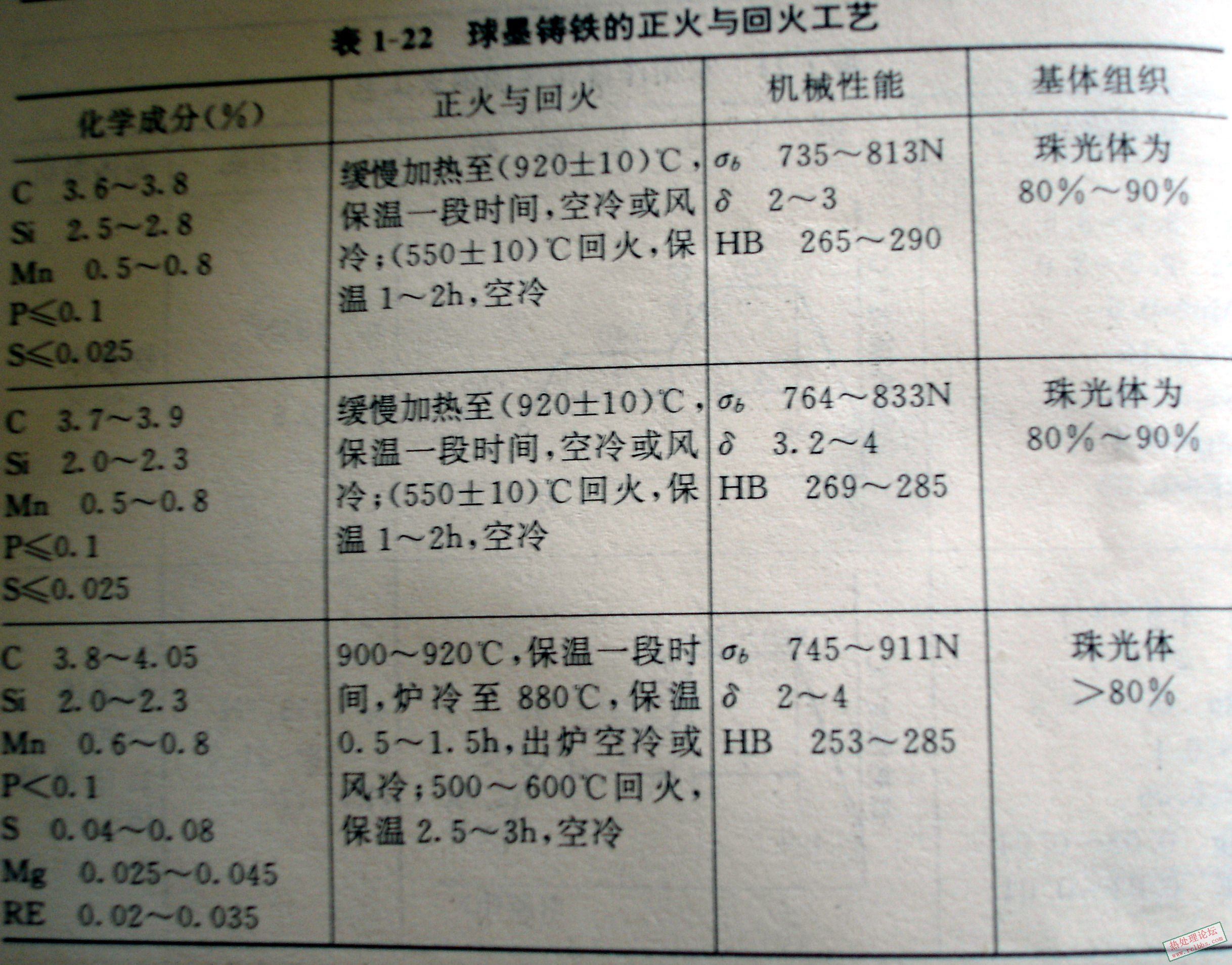 DSC08084.JPG