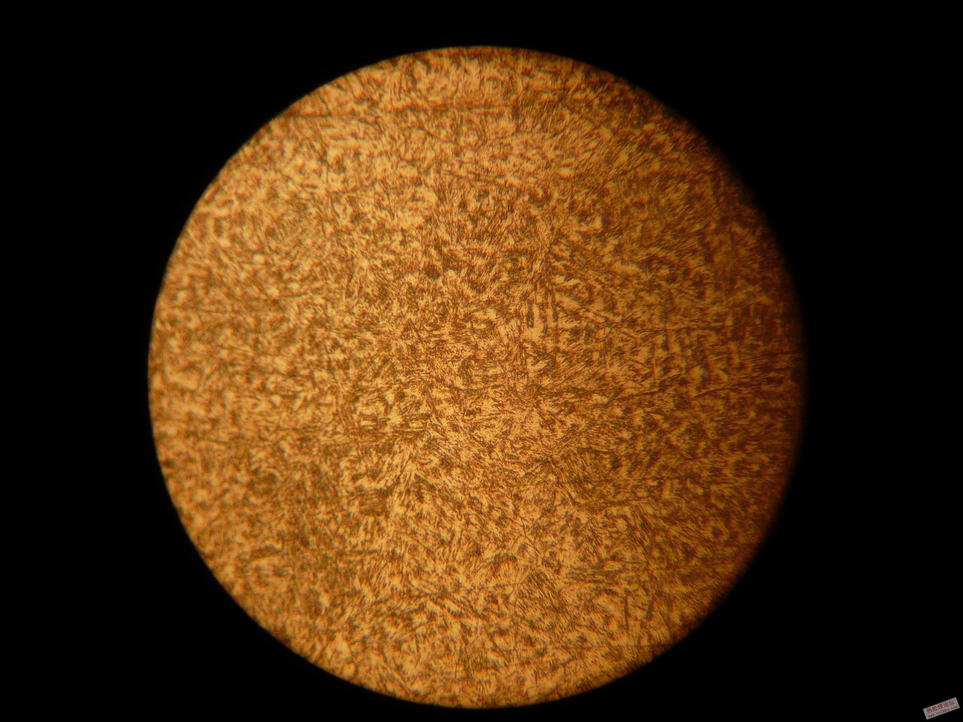P1000098-1.JPG