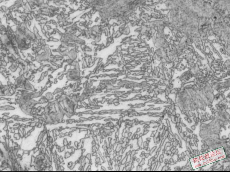 样2心部组织-500x.jpg